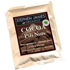 Chocolate Pili Nuts SJorganics