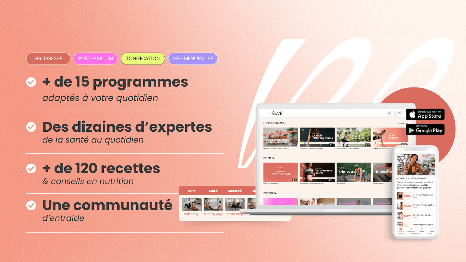 programme studio témé